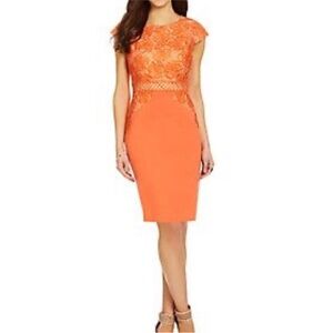 Antonio Melani Orange Lace Sheath Dress Size 14 Floral Midi Cap Sleeve